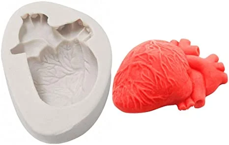 Silicone Mould Heart Organ