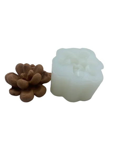 Silicone Mould Succulent