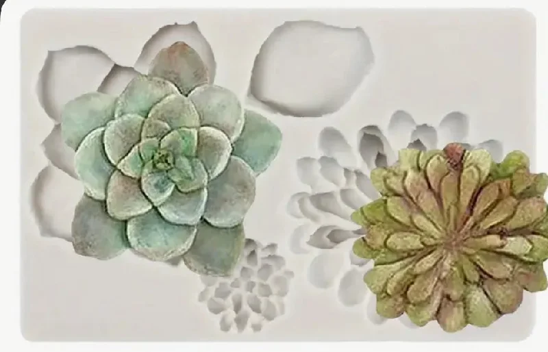 Succulent silicone mould